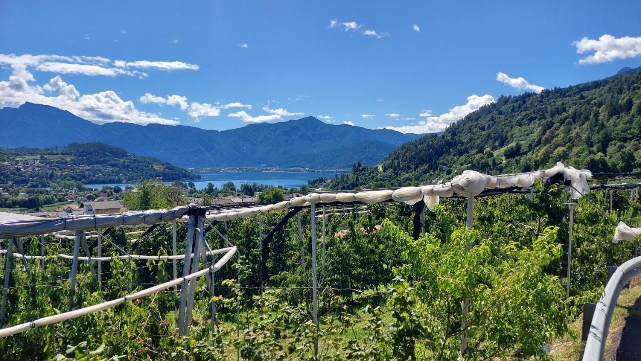 La Coccinella Di Susa Pergine Valsugana Exteriör bild